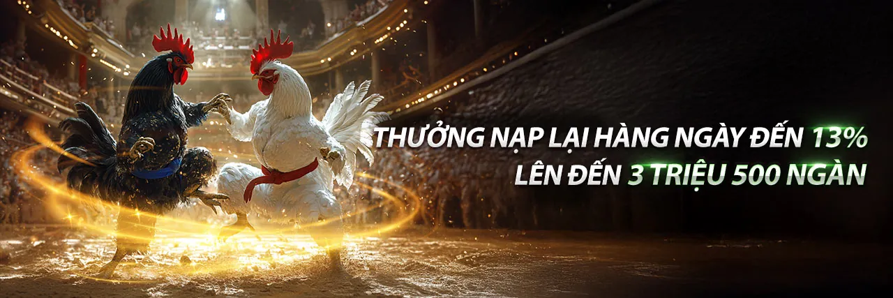 Banner khuyến mãi độc quyền khi đăng nhập ku11net